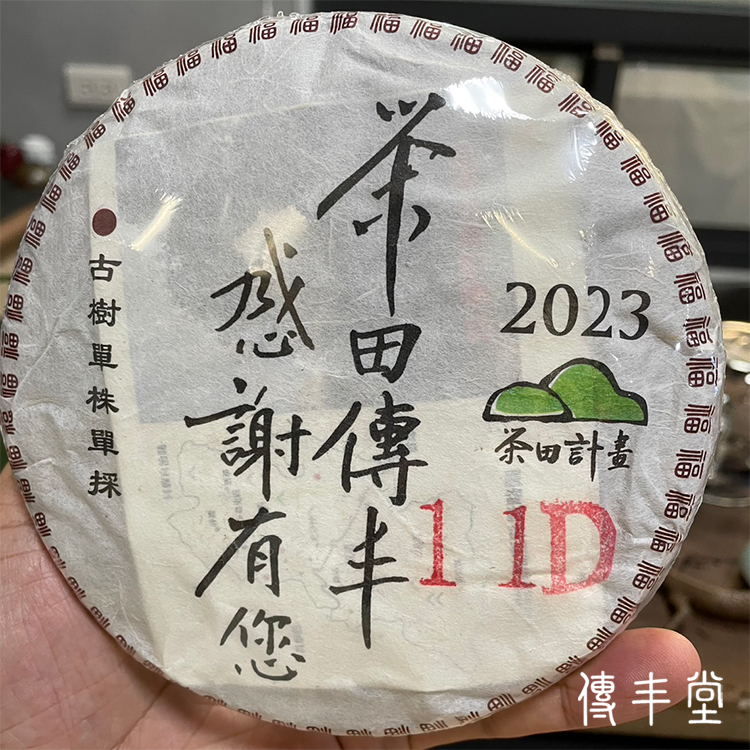 2023年 單株古樹青餅(平河古樹-編號11D)